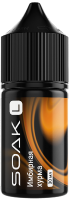 Ginger Persimmon/ Имбирная хурма 20мг SOAK SALT 30мл Жидкость